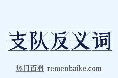 支队反义词是什么意思的图片